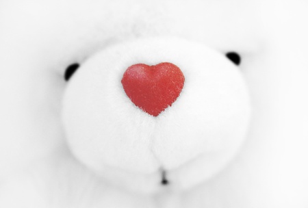 Lovely toy bearの写真素材