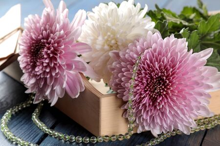 Autumn chrysanthemum flowers with beads and letters on a dark blue tableの写真素材
