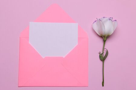 Beautiful white flowers. Eustoma with a blank for text on a bright pink background. view from aboveの写真素材