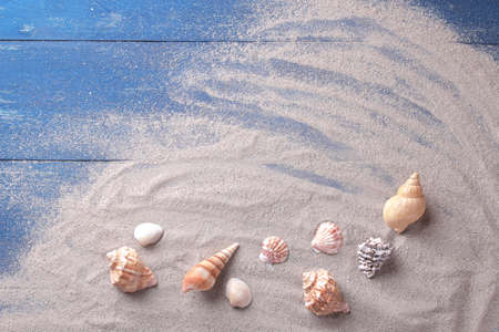 Many species of sea shells on the sand of the sea on a blue wooden background. Top viewの写真素材