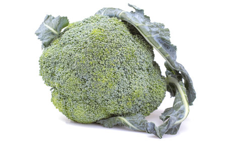 A large head of fresh broccoli on a white isolated background. vegetables. close-up