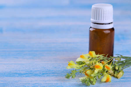 yellow field flowers with a bottle of essential oil on a blue wooden table with a place for inscriptionの写真素材