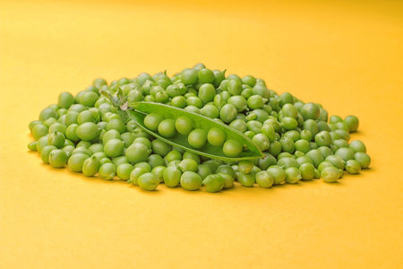 Green fresh pea and pea stalk top on a bright yellow background.の写真素材