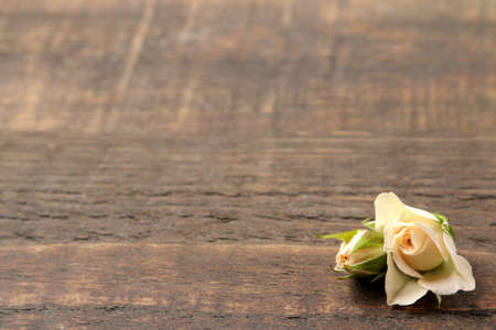A beautiful bottle of beige mini roses on a brown wooden table. space for textの写真素材