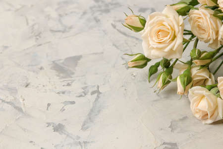 A bouquet of beautiful tender mini roses on a light concrete background. space for textの写真素材