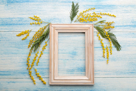 Beautiful flowers of yellow mimosa and frame on a blue wooden table. top view. space for text
