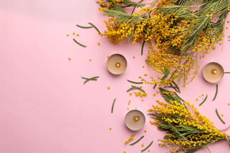 Beautiful flowers of yellow mimosa and candles on a trendy pink background. top view. free space.の写真素材