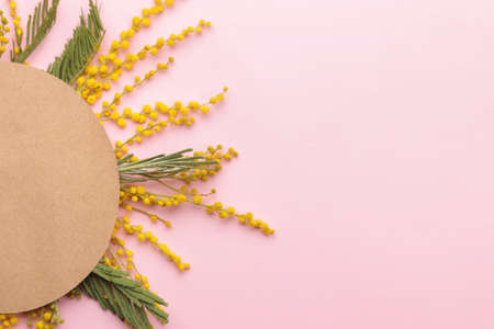 Beautiful flowers of yellow mimosa and a blank for text on a pink trend background. top viewの写真素材