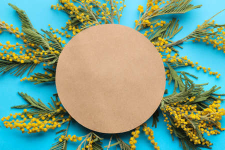 Beautiful flowers of yellow mimosa and a blank for text on a blue trendy paper background. top view.の写真素材