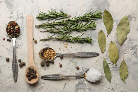 herbs and spices. various seasonings, herbs and spices on a light concrete background. top viewの写真素材