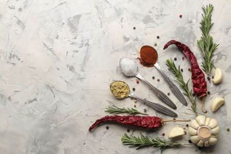 herbs and spices. various seasonings, herbs and spices on a light concrete background. top view. place for text. free spaceの写真素材