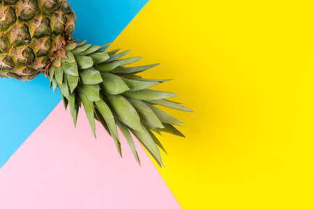 Large ripe fruit pineapple on a bright yellow, blue and pink background. summer. top view.の写真素材