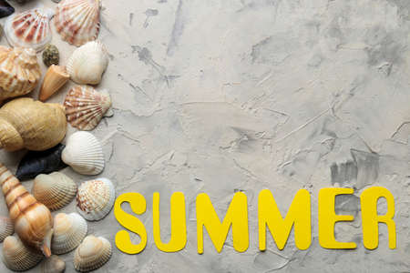 The word summer of paper yellow letters and sea accessories, shells on a light concrete background. summer. vacation. relaxation. top view. space for textの写真素材