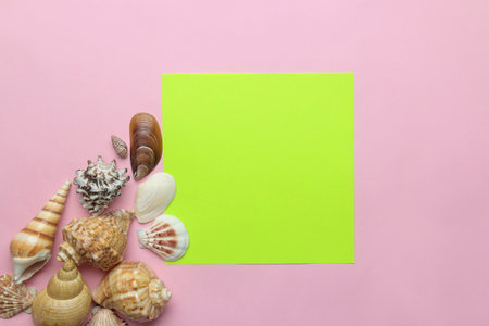 Summer frame. Paper frame for your text and seashells on a gentle pink background. top view