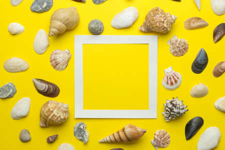 Summer frame. Paper frame for your text and seashells on a bright yellow background. top viewの写真素材