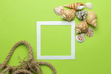 Summer frame. Paper frame for your text and seashells on a bright green background. top viewの写真素材
