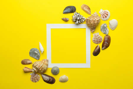 Summer frame. Paper frame for your text and seashells on a bright yellow background. top viewの写真素材
