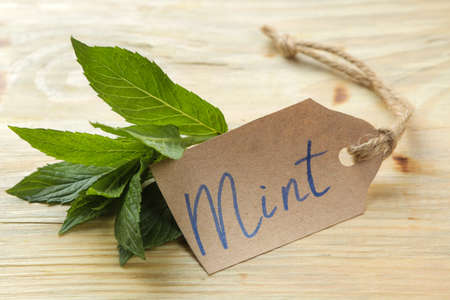 Mint. Leaves and branches of fresh green wild mint with a sign with the text on a wooden natural table.の写真素材