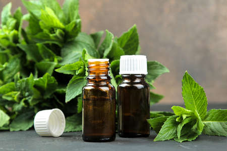 mint aroma oils and leaves and branches of fresh green wild mint on a black concrete table. close-upの写真素材