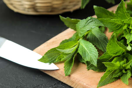 Mint. Leaves and branches of fresh green wild mint on a cutting board on a black concrete table. close-upの写真素材