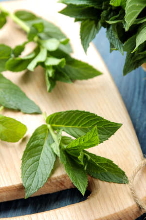 Mint. Leaves and branches of fresh green wild mint on a cutting board on a wooden blue table. close-upの写真素材