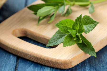 Mint. Leaves and branches of fresh green wild mint on a cutting board on a wooden blue table. close-upの写真素材