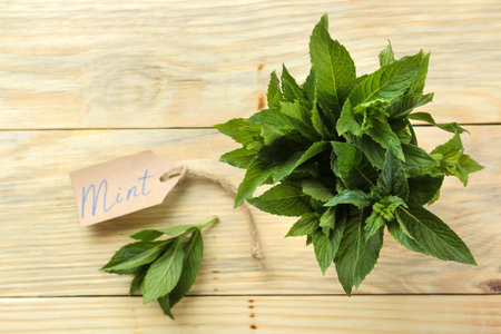 Mint. Leaves and branches of fresh green wild mint with a sign with the text on a wooden natural...