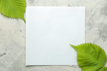 Abstract summer composition. Blank for text and beautiful green leaves on a light concrete...