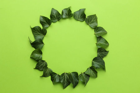 Abstract summer composition. frame of beautiful green ivy leaves and twig on a bright green...