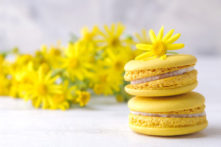 macaroons. delicious colored french macaroon pastries with a yellow flower on a white wooden table