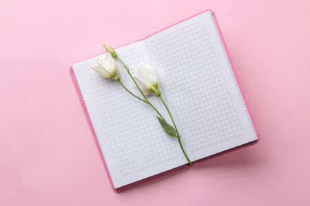 Open pink notebook and white flowers on a bright trendy pink background. top view. office toolsの写真素材