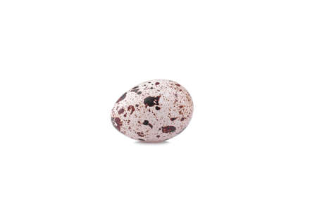 One small quail egg on a white background. isolatedの写真素材