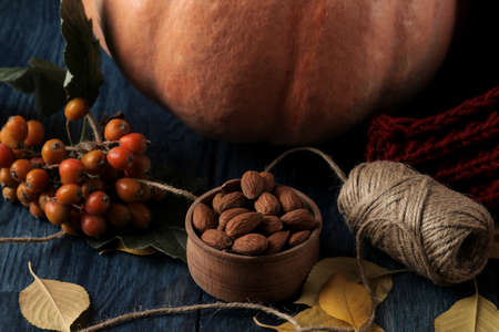 Autumn composition with pumpkin nuts and berries and a warm scarf on a dark blue tableの写真素材