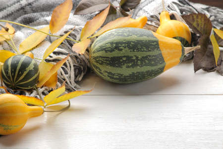 Autumn composition with decorative pumpkins and yellow leaves. autumn time. on a white wooden tableの写真素材
