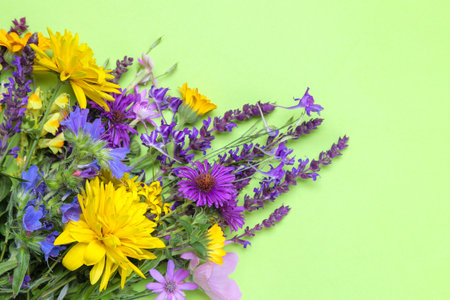 a bouquet of various summer wildflowers on a delicate light green background. Cornflower, sage and buttercupsの写真素材