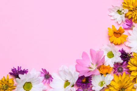 a bouquet of various summer wild flowers on a delicate pink background in the form of a frame with a place for textの写真素材