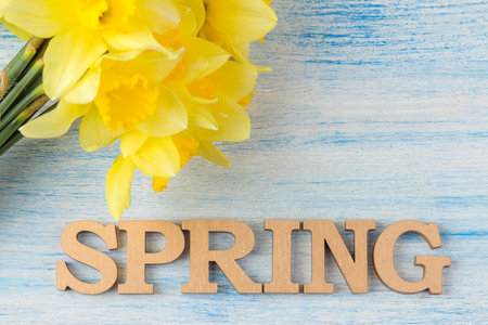 Spring flowers, yellow daffodils on a blue wooden background. place for textの写真素材