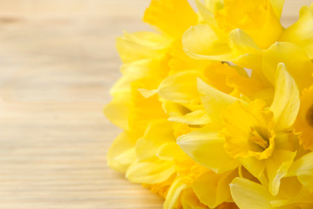Spring flowers, frame of yellow daffodils on a natural wooden background. place for textの写真素材