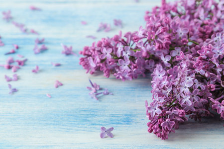 spring flowers. Frame of twigs of blooming lilac on a blue wooden table. close upの写真素材