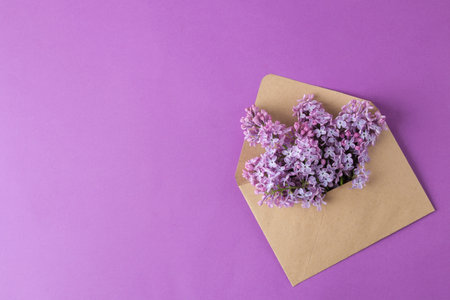 spring flowers. blooming lilac flowers in a craft envelope on a bright purple background. top viewの写真素材