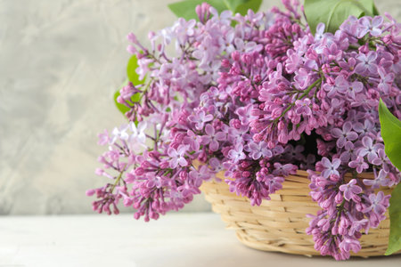spring flowers. Twigs of blooming lilac in a wicker basket on a light concrete backgroundの写真素材