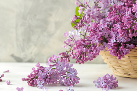 spring flowers. Twigs of blooming lilac in a wicker basket on a light concrete backgroundの写真素材
