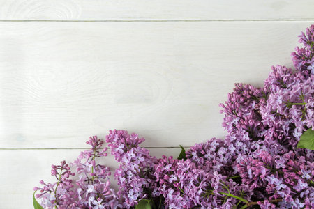 spring flowers. Frame of twigs of blooming lilac on a white wooden table. top view. place for textの写真素材