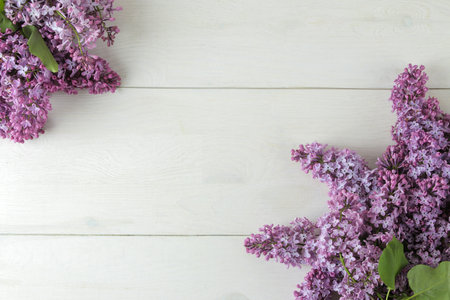 spring flowers. Frame of twigs of blooming lilac on a white wooden table. top view. place for textの写真素材
