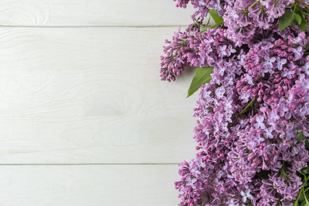 spring flowers. Frame of twigs of blooming lilac on a white wooden table. top view. place for textの写真素材