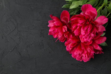 Frame of beautiful bright pink flowers peonies on a black graphite background. top view. space for textの写真素材