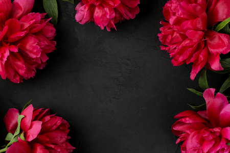 Frame of beautiful bright pink flowers peonies on a black graphite background. top view. space for textの写真素材