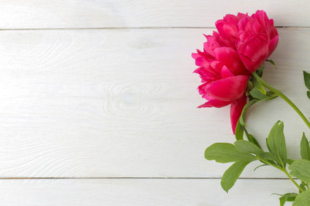 Frame of beautiful bright pink peony flowers on a white wooden background. top view. space for textの写真素材