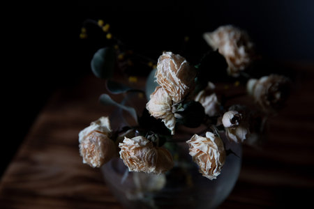 Dried flowers on the windowsillの写真素材