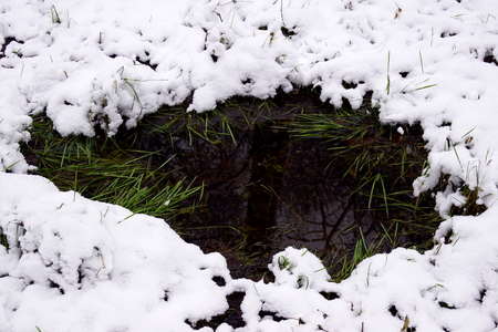 Winter puddleの写真素材